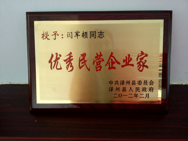 優(yōu)秀民營企業(yè)家 優(yōu)秀民營企業(yè)家