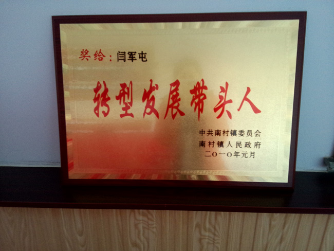 轉(zhuǎn)型發(fā)展先進(jìn)企業(yè) 轉(zhuǎn)型發(fā)展先進(jìn)企業(yè)